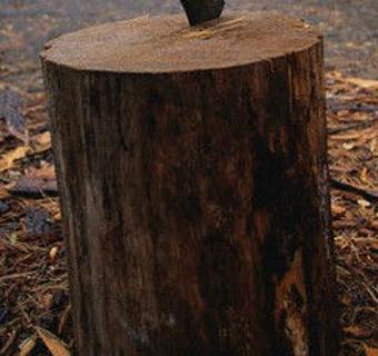 Firewood Chopping Block: How to Split Wood With a Chopping Block in NZ –  Blaze Firewood